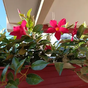  Appartamento Peppe's House